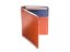 Leather passport wallet brown/blue