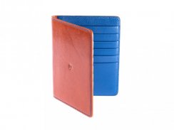 Leather passport and cards holder brown/blue